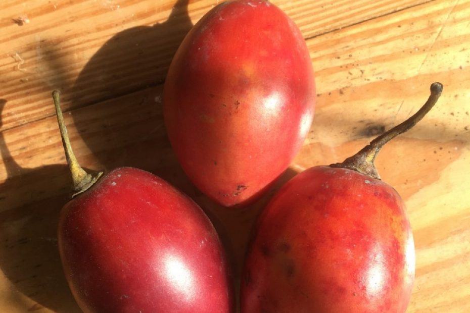 tomate-de-arbo-recetas-atukpamba