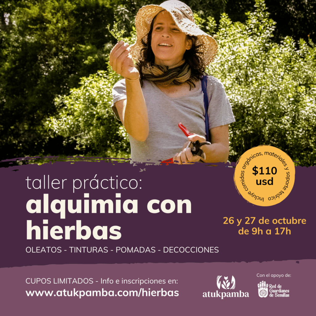ALQUIMIA CON HIERBAS taller atukpamba