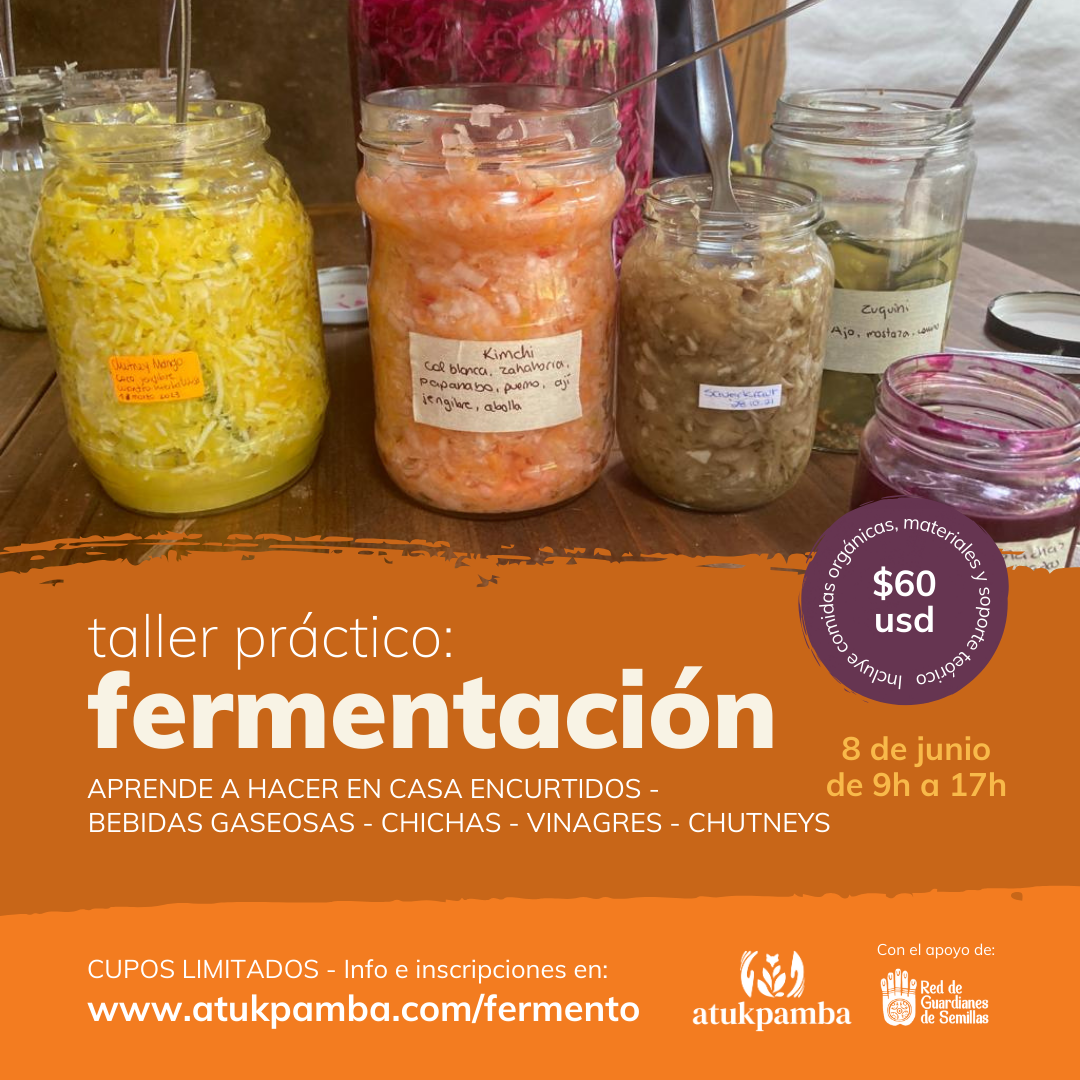 Taller - fermentacion y probioticos